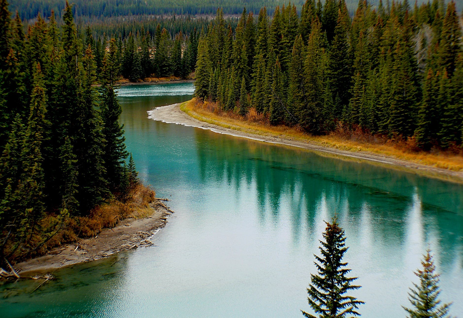 green trees surrounding lake